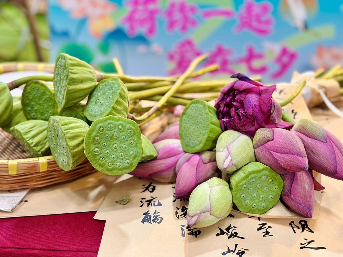 微信圖片_20250829145444_6_410